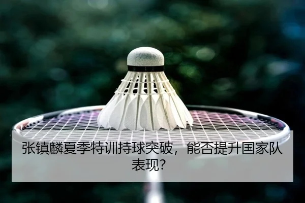 张镇麟夏季特训持球突破,能否提升国家队表现?